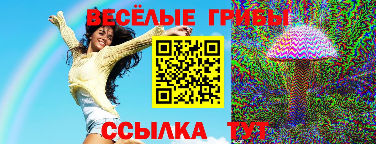Первоуральск  Галлюциногенные грибы прущие грибы  Галлюциногенные грибы GOLDEN TEACHER  Вход с VPN 