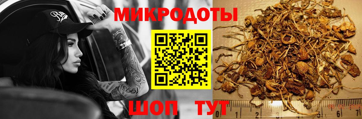 Псилоцибиновые грибы Первоуральск